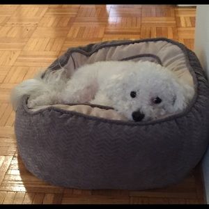 Meet your Posher, Susan